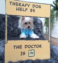 therapy dog help