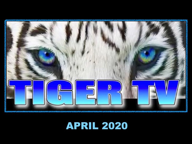 tiger-tv-by-keynote-april