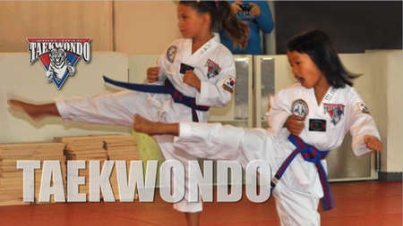 White Tiger Taekwondo for Kids
